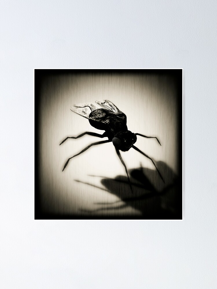 Thumbnail 1 of 3, Poster, Fly designed and sold by jfdupuis.