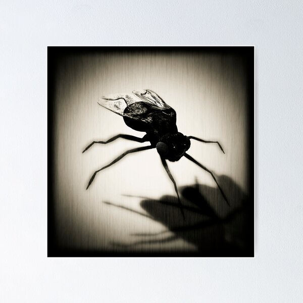 Item preview, Fly designed and sold by Jean-François Dupuis.