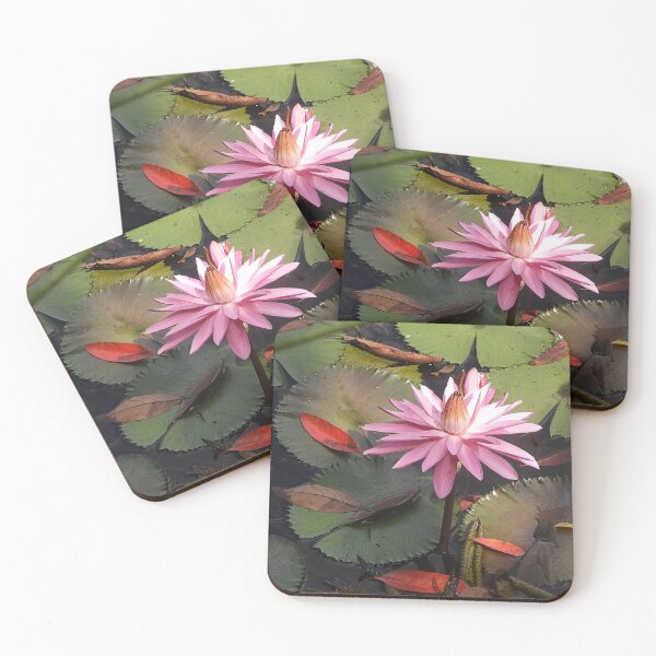 Item preview, Water Lily at Catana designed and sold by ongarra.
