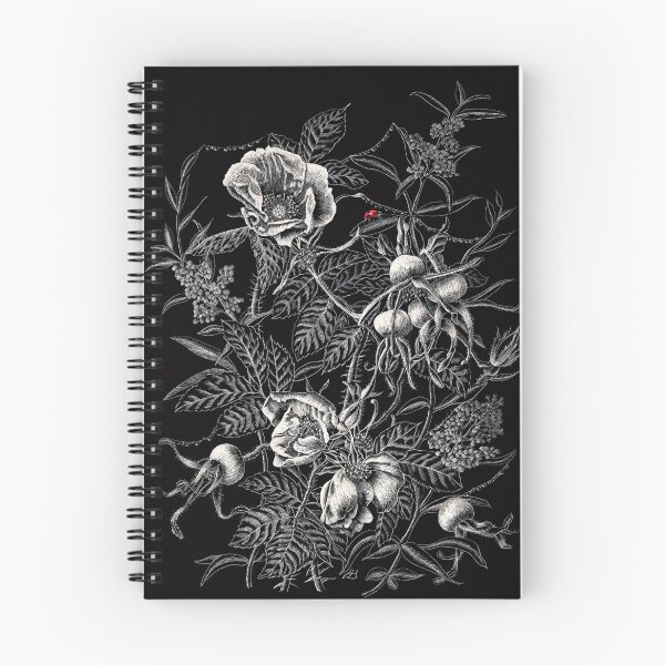 Item preview, Rosa ragusa and Privet (scraperboard) designed and sold by Painting By Nature.