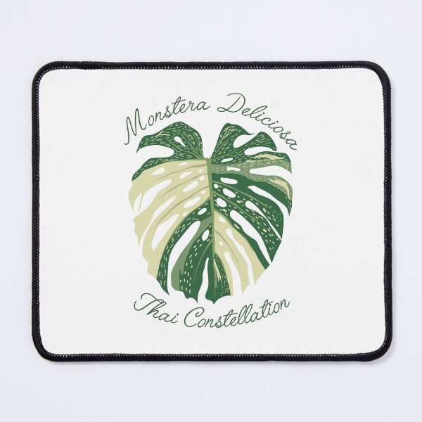 Item preview, Monstera Thai Constellation 3 designed and sold by TASORA.