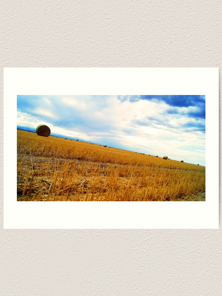 Alternate view of Rolling Downhill Art Print