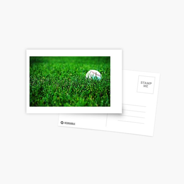 Summer Icon Postcard
