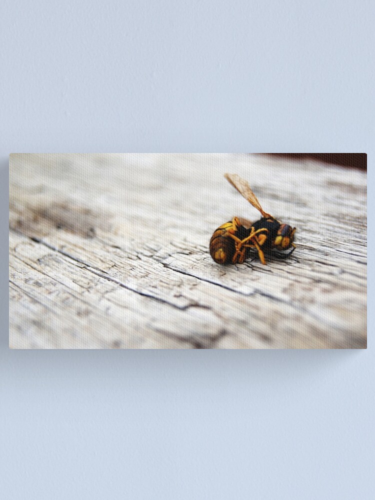 Alternate view of A Little Death Canvas Print