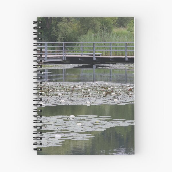 Item preview, A Pond at The Brickworks in Toronto designed and sold by Judy Geller.