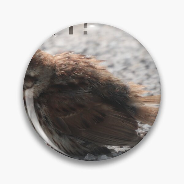 Item preview, A Baby Song Sparrow  designed and sold by Judy Geller.