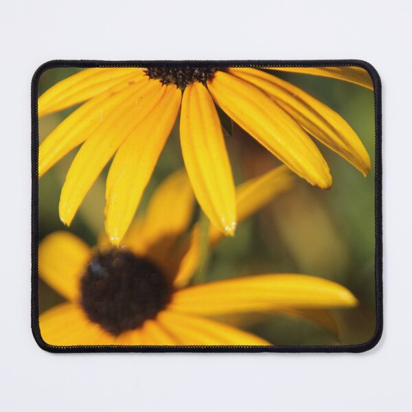 Item preview, Black-eyed Susan designed and sold by Calidris Fotografie Steffi & Ben Köppler.