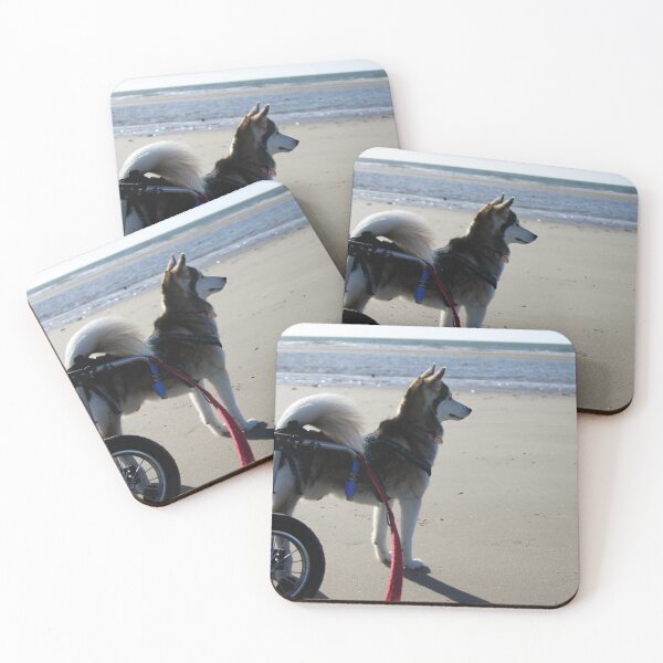 Item preview, Husky with Wheelchair designed and sold by Calidris Fotografie Steffi & Ben Köppler.