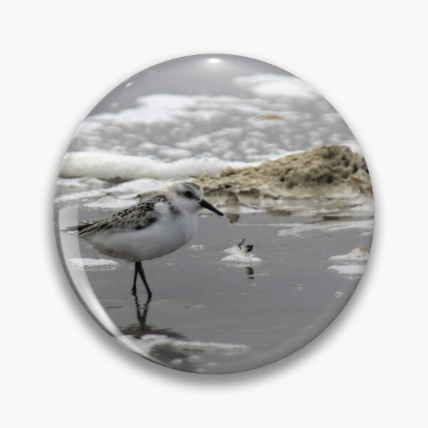 Item preview, Sanderling designed and sold by Calidris Fotografie Steffi & Ben Köppler.