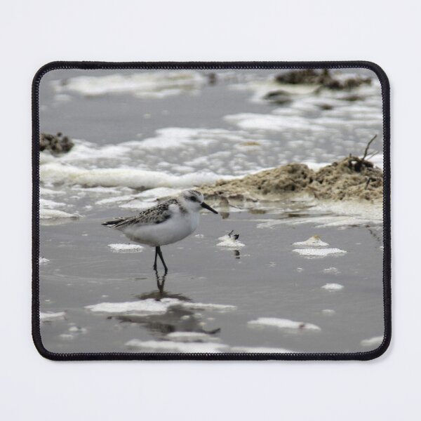 Item preview, Sanderling designed and sold by Calidris Fotografie Steffi & Ben Köppler.
