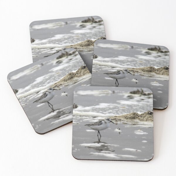 Item preview, Sanderling designed and sold by Calidris Fotografie Steffi & Ben Köppler.