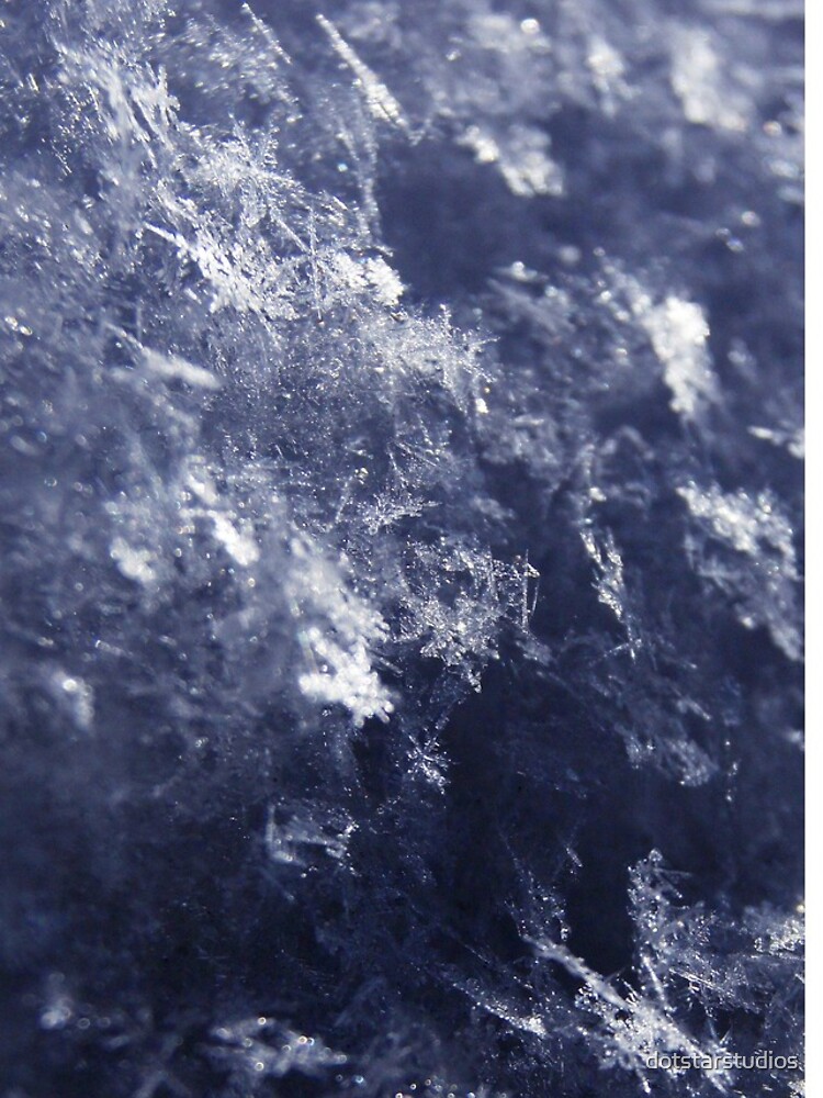 Frosted Snowflakes HDR by dotstarstudios
