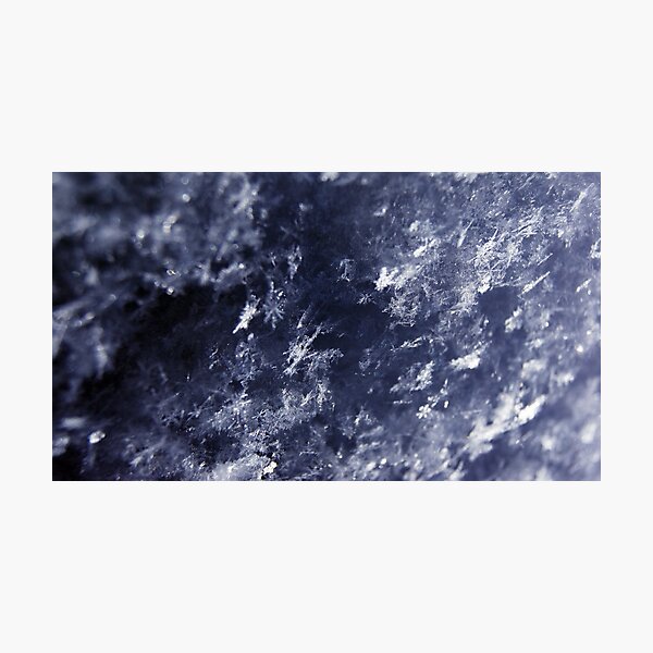 Frosted Snowflakes HDR Photographic Print