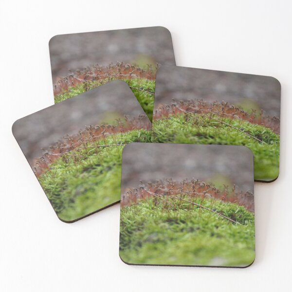 Item preview, Mossy log designed and sold by ESK-Kalevala.