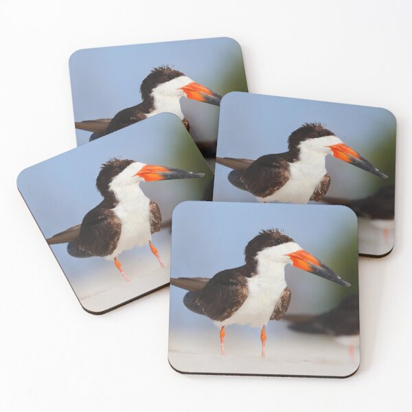 Item preview, Black Skimmer standing guard on the beach designed and sold by zmphotography.