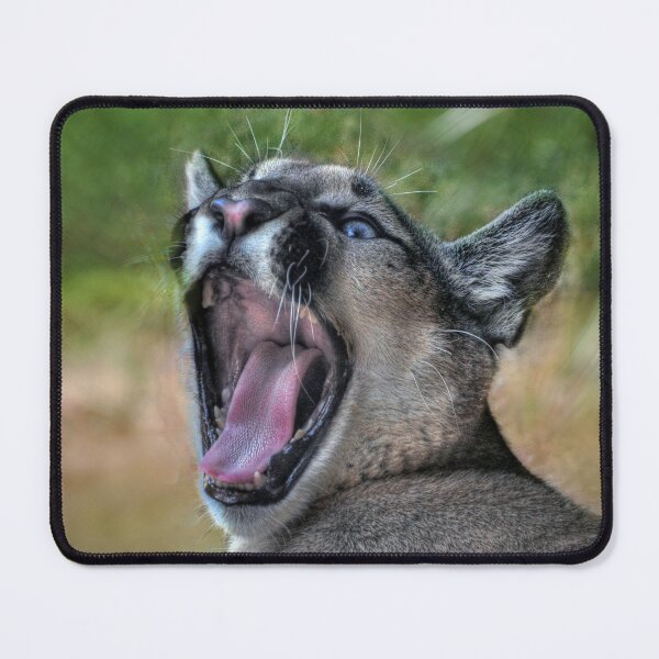 Item preview, Cougar designed and sold by Savannah Gibbs.