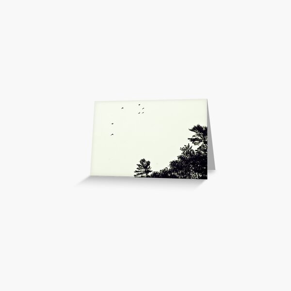 Birds Over Gorge Greeting Card