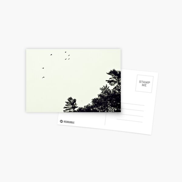 Birds Over Gorge Postcard