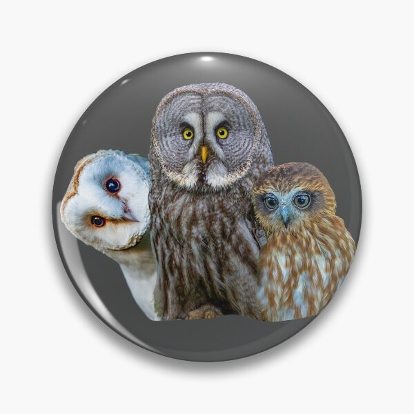 Item preview, 3 Wise Owls designed and sold by Dalyndigital Photography.