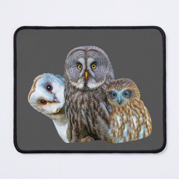 Item preview, 3 Wise Owls designed and sold by Dalyndigital Photography.