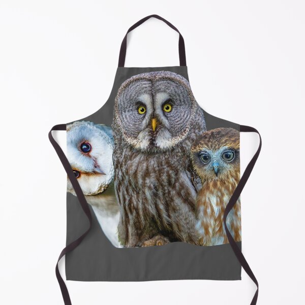 Item preview, 3 Wise Owls designed and sold by Dalyndigital Photography.