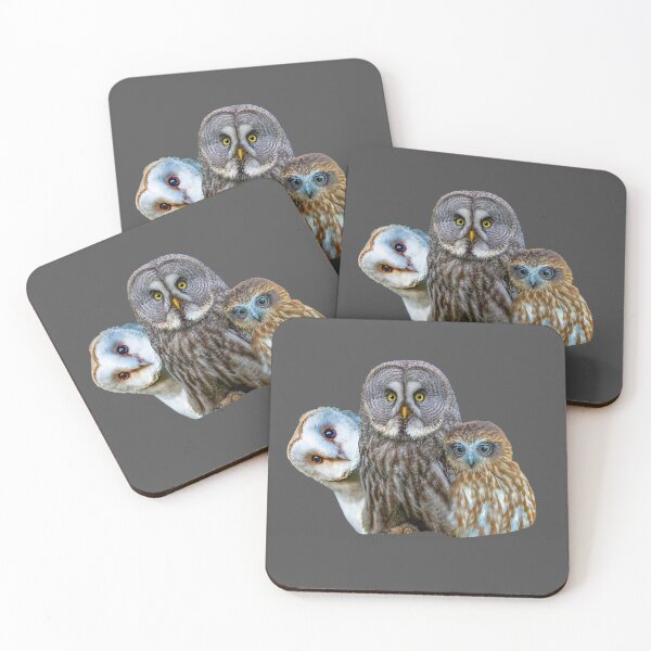 Item preview, 3 Wise Owls designed and sold by Dalyndigital Photography.