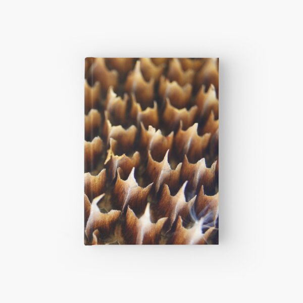 Flames In Nature Hardcover Journal