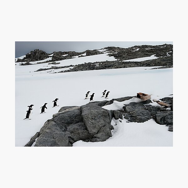 Around Photographic Print