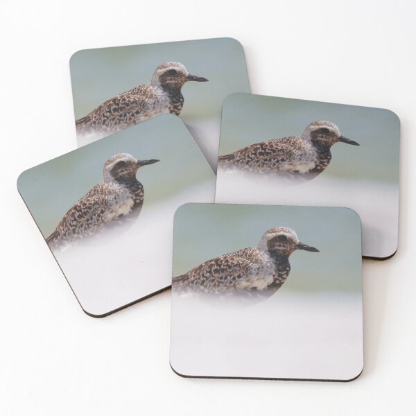 Item preview, Black-bellied Plover designed and sold by zmphotography.