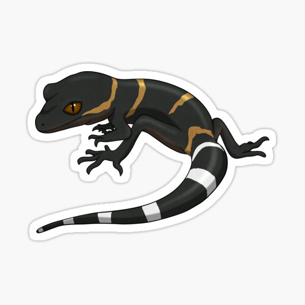 Item preview, Chinese Cave Gecko designed and sold by HauntedHerps.