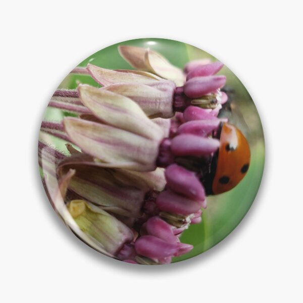 Artikelvorschau, Ladybug entworfen und verkauft von GardenOfPeace.
