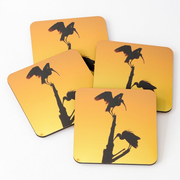 Item preview, Ibises at sunset designed and sold by zmphotography.