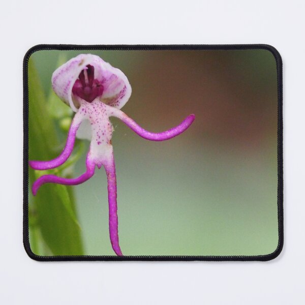 Item preview, A lovely wild flower, like a cheerful girl designed and sold by Juviraga.