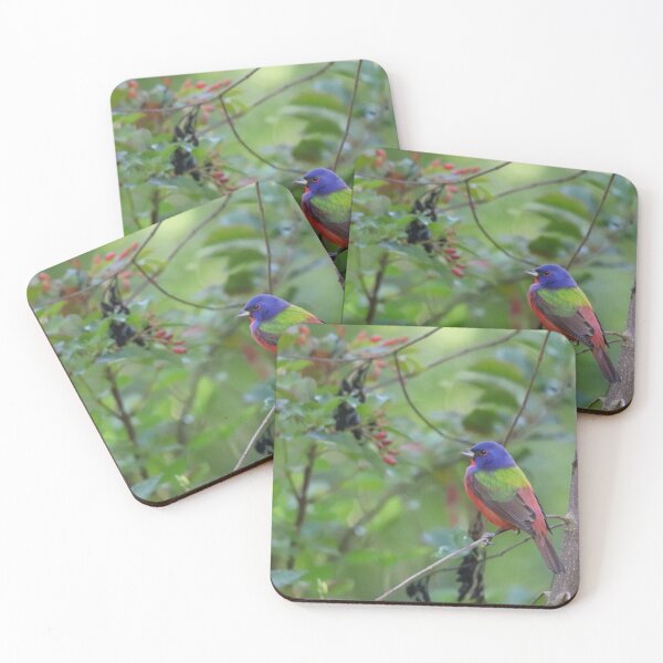 Item preview, Painted Bunting designed and sold by zmphotography.
