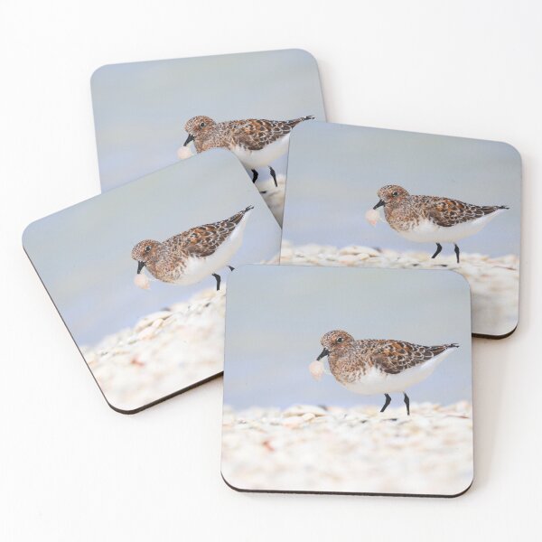 Item preview, Sanderling carrying a shell designed and sold by zmphotography.