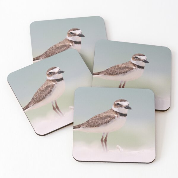 Item preview, Wilson's Plover designed and sold by zmphotography.