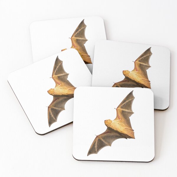 Item preview, Eastern Red Bat designed and sold by John Reaume.