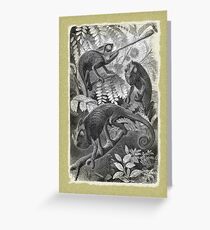 Chameleon Etching Greeting Card