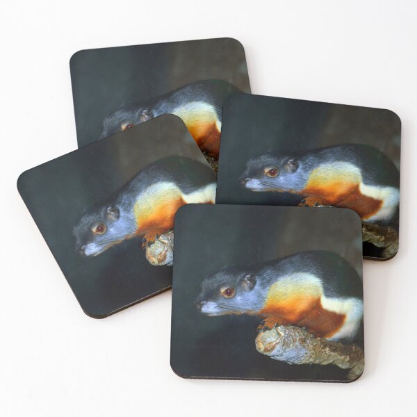 Item preview, Prevost's Squirrel designed and sold by Savannah Gibbs.