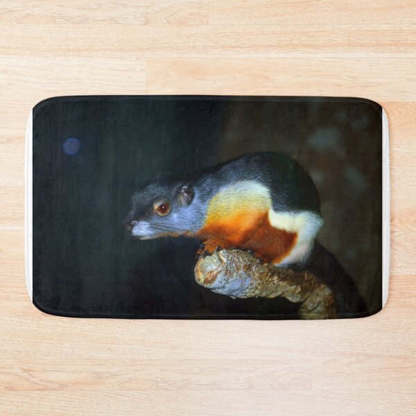 Item preview, Prevost's Squirrel designed and sold by Savannah Gibbs.