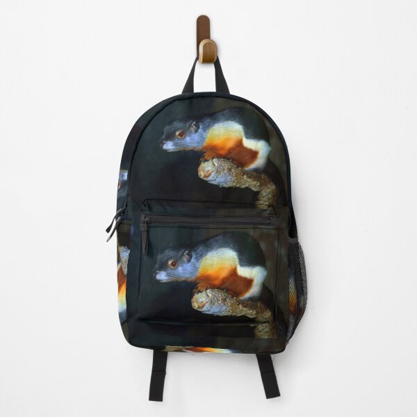 Item preview, Prevost's Squirrel designed and sold by Savannah Gibbs.
