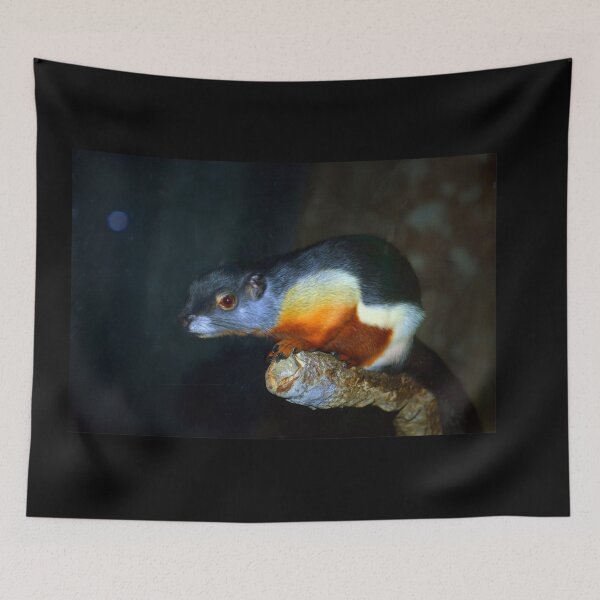 Item preview, Prevost's Squirrel designed and sold by Savannah Gibbs.