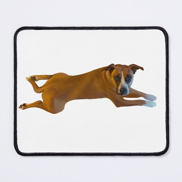 Item preview, Splooting Pitbull Mix Dog designed and sold by Booneb.