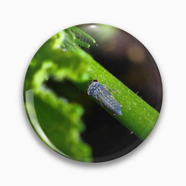 Item preview, Emerald Encounter: Leaf Hopper Macro designed and sold by Derek Steckert.