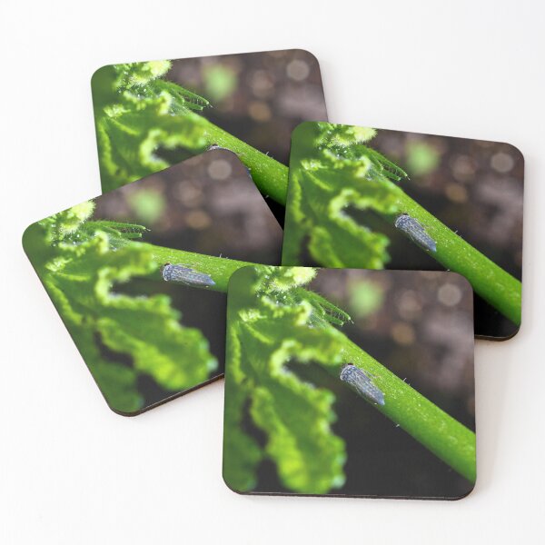 Item preview, Emerald Encounter: Leaf Hopper Macro designed and sold by Derek Steckert.