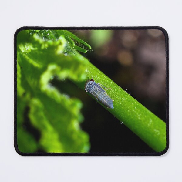 Item preview, Emerald Encounter: Leaf Hopper Macro designed and sold by Derek Steckert.
