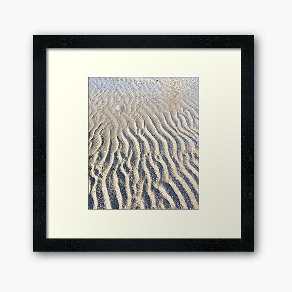 Tide Ripples in the Sand with a Sand Dollar Framed Art Print