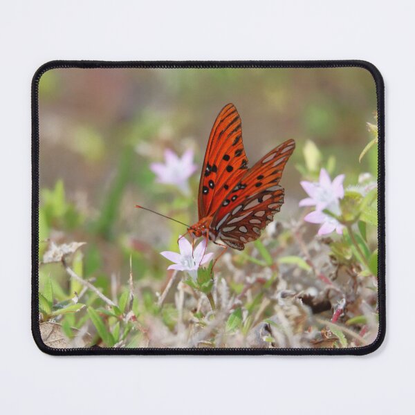 Item preview, Butterfly designed and sold by zmphotography.