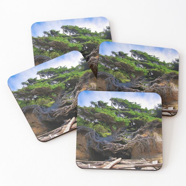 Item preview, Kalaloch Tree of Life designed and sold by Brian Kerls Photography.