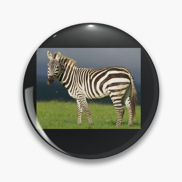 Item preview, Real Pied Zebra designed and sold by annenambiro.